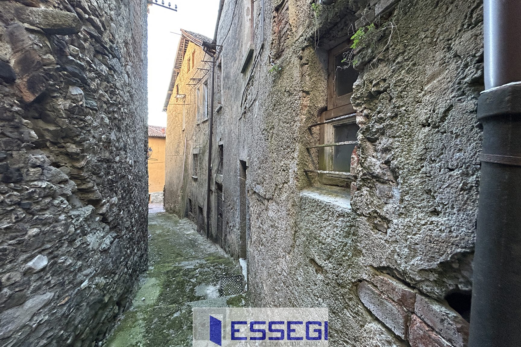 ASSO Intera proprieta